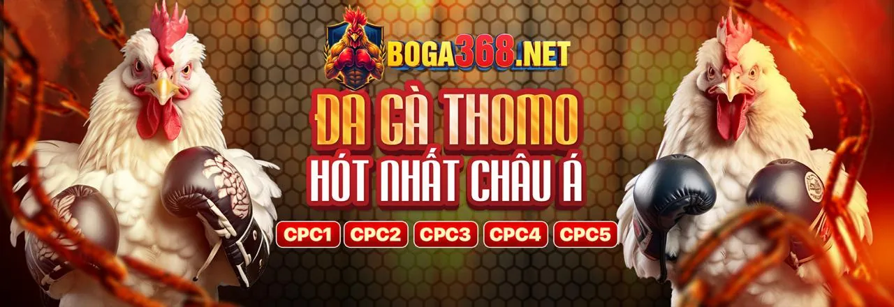 Dịch vụ hỗ trợ khách hàng chuyên nghiệp của LC88